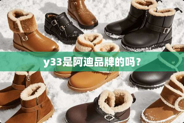 y33是阿迪品牌的吗？