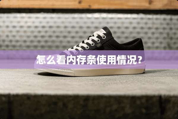 怎么看内存条使用情况？