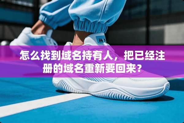 怎么找到域名持有人，把已经注册的域名重新要回来？