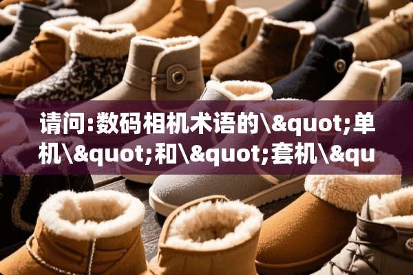 请问:数码相机术语的\"单机\"和\"套机\"是什么意思啊？