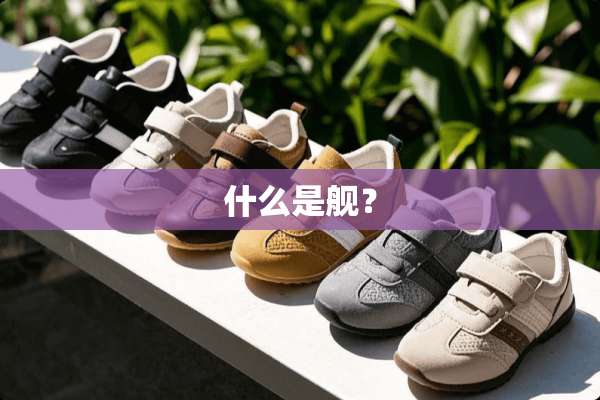 什么是舰？