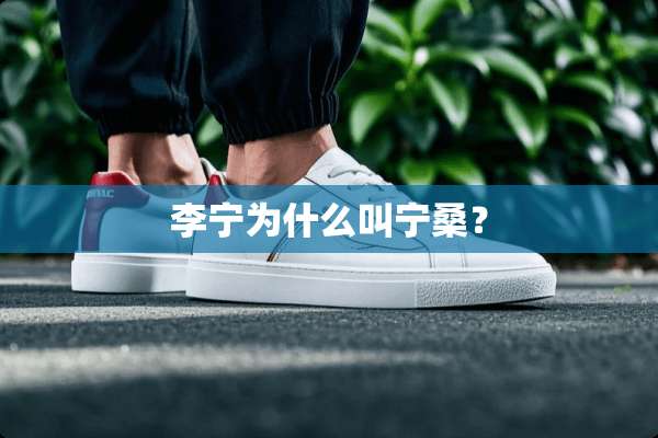 李宁为什么叫宁桑？