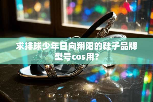 求排球少年日向翔阳的鞋子品牌型号cos用？