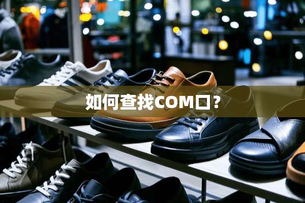 如何查找COM口？