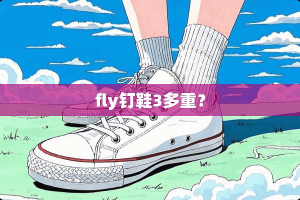 fly钉鞋3多重？