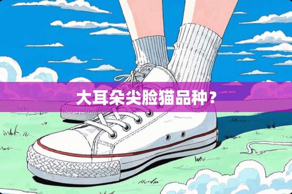 大耳朵尖脸猫品种？
