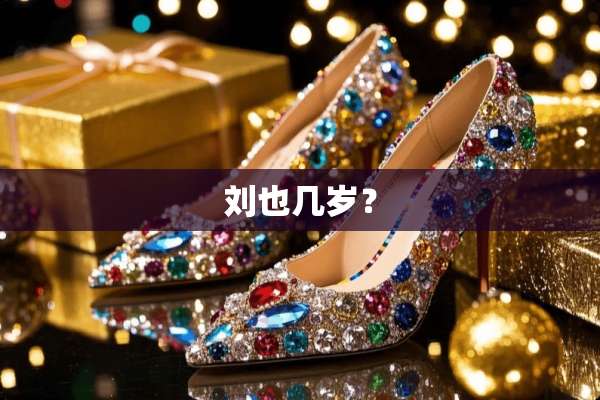 刘也几岁？