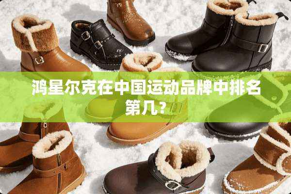 鸿星尔克在中国运动品牌中排名第几？