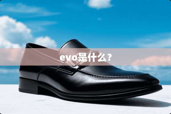 evo是什么？