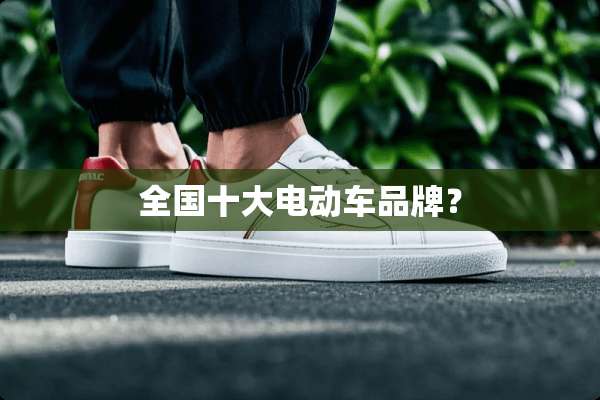 全国十大电动车品牌？