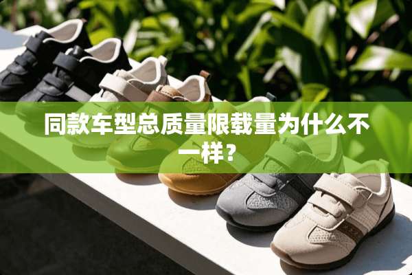 同款车型总质量限载量为什么不一样？