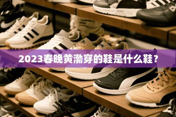 2023春晚黄渤穿的鞋是什么鞋？