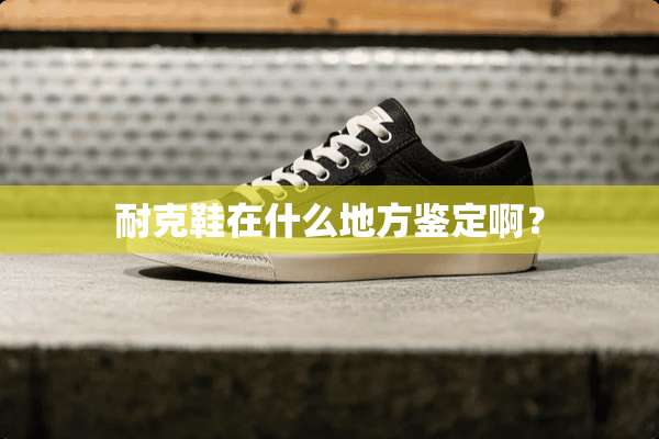 耐克鞋在什么地方鉴定啊？
