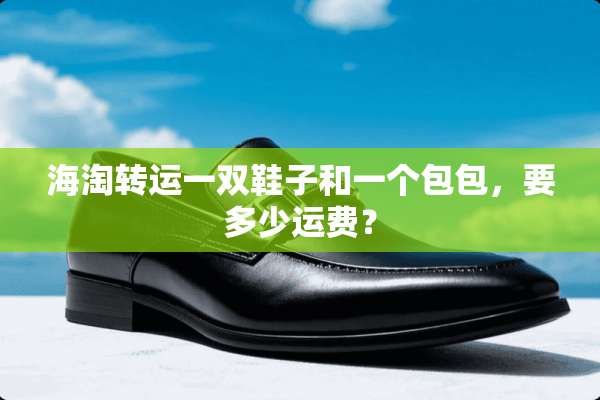 海淘转运一双鞋子和一个包包，要多少运费？