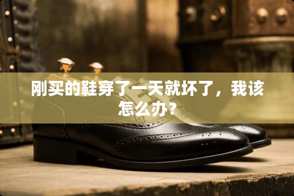 刚买的鞋穿了一天就坏了，我该怎么办？