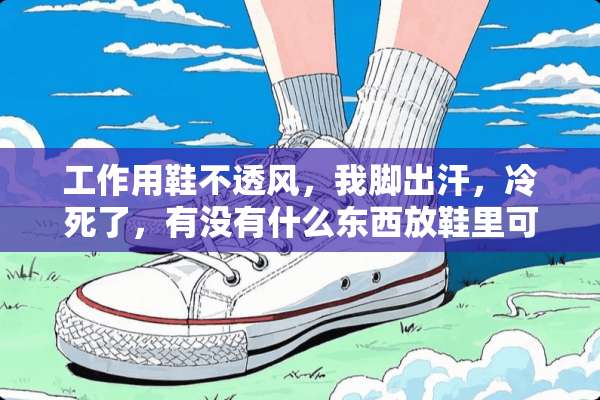 工作用鞋不透风，我脚出汗，冷死了，有没有什么东西放鞋里可以保温，或者吸汗的？