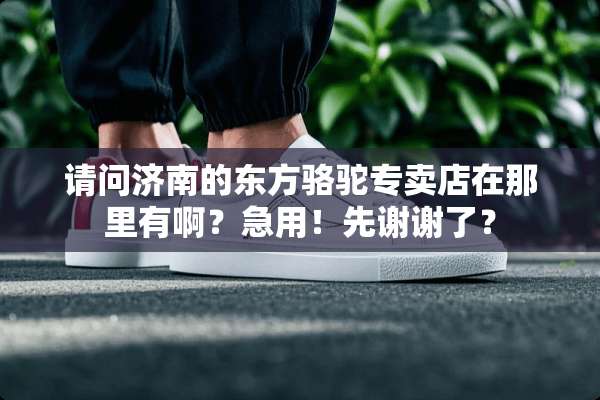 请问济南的东方骆驼专卖店在那里有啊？急用！先谢谢了？