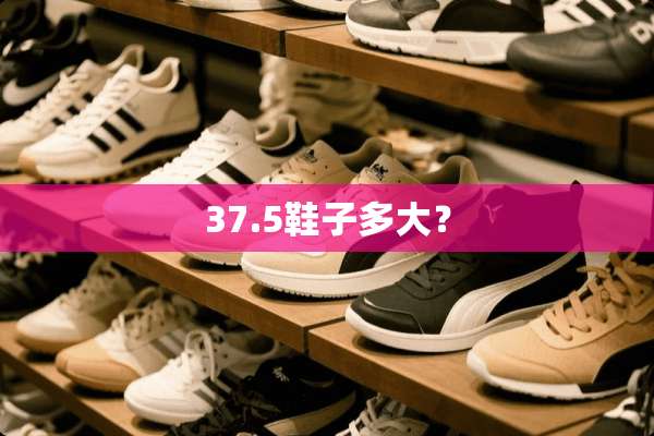 37.5鞋子多大？