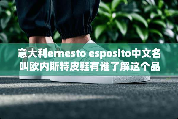 意大利ernesto esposito中文名叫欧内斯特皮鞋有谁了解这个品牌谢谢？