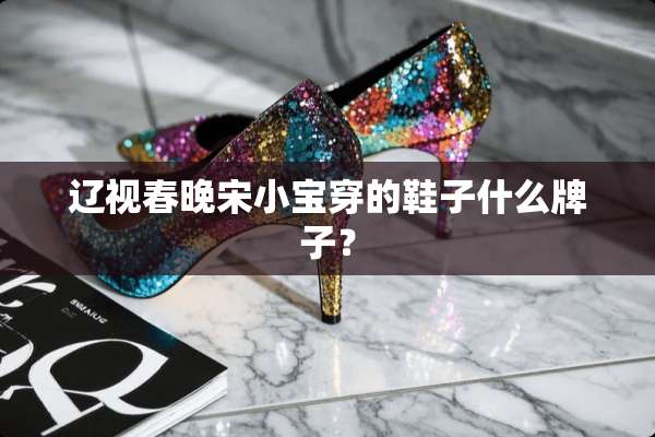 辽视春晚宋小宝穿的鞋子什么牌子？