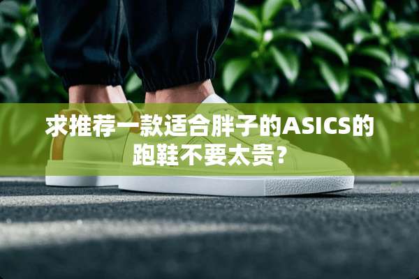 求推荐一款适合胖子的ASICS的跑鞋不要太贵？