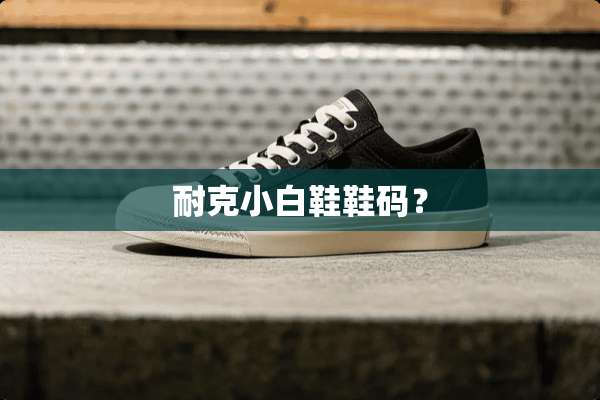 耐克小白鞋鞋码？