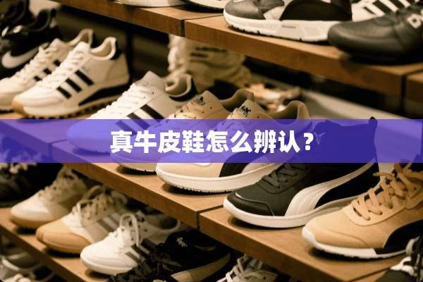 真牛皮鞋怎么辨认？