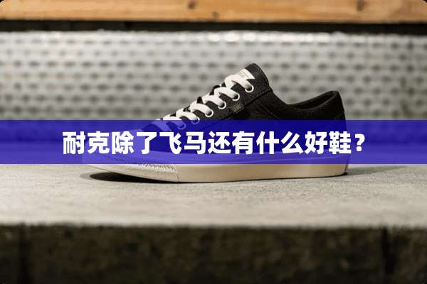 耐克除了飞马还有什么好鞋？