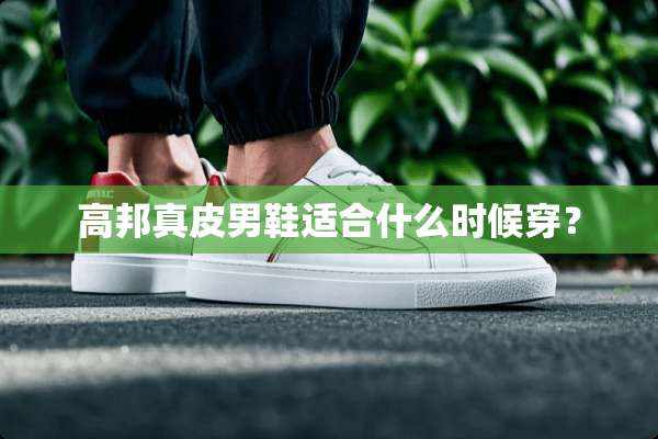高邦真皮男鞋适合什么时候穿？