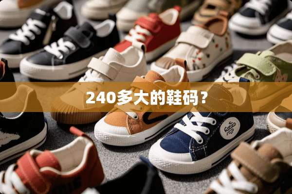 240多大的鞋码？