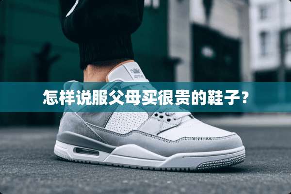 怎样说服父母买很贵的鞋子？