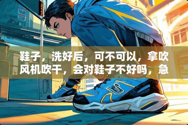 鞋子，洗好后，可不可以，拿吹风机吹干，会对鞋子不好吗，急？