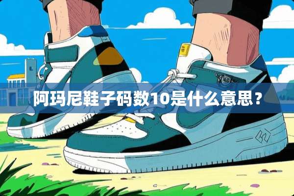 阿玛尼鞋子码数10是什么意思？