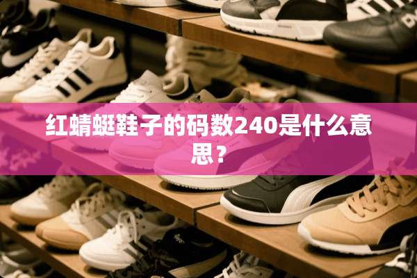 红蜻蜓鞋子的码数240是什么意思？