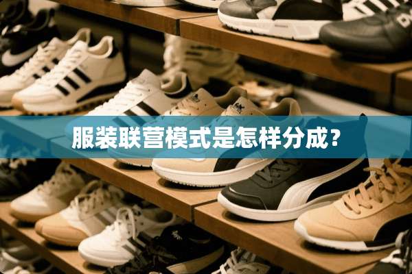 服装联营模式是怎样分成？