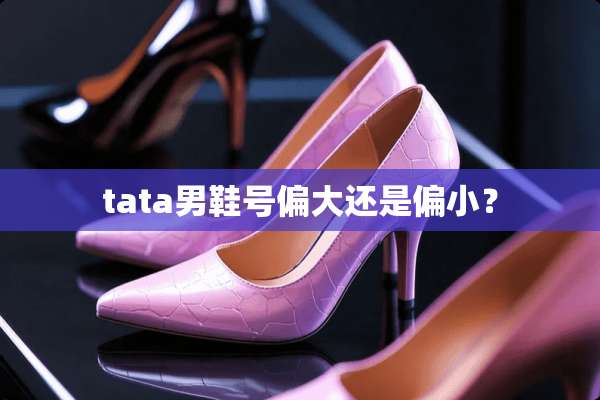 tata男鞋号偏大还是偏小？