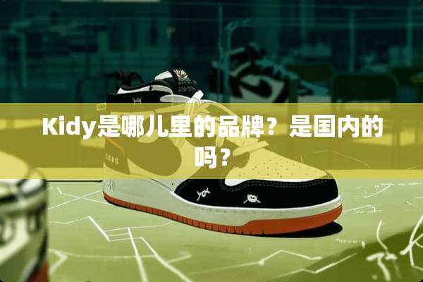 Kidy是哪儿里的品牌？是国内的吗？