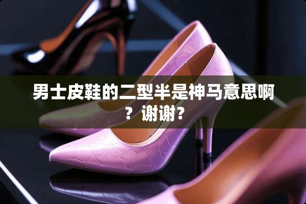 男士皮鞋的二型半是神马意思啊？谢谢？