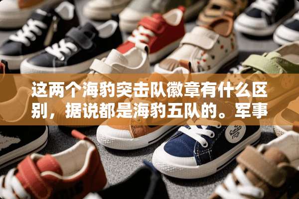 这两个海豹突击队徽章有什么区别，据说都是海豹五队的。军事高人回答！