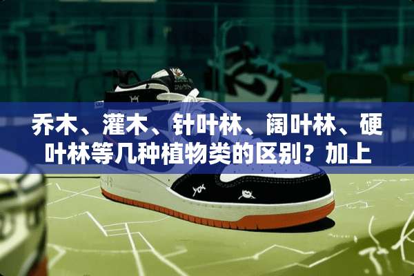 乔木、灌木、针叶林、阔叶林、硬叶林等几种植物类的区别？加上分布状况！