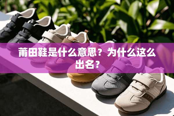 莆田鞋是什么意思？为什么这么出名？