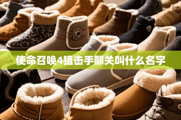 使命召唤4**手那关叫什么名字