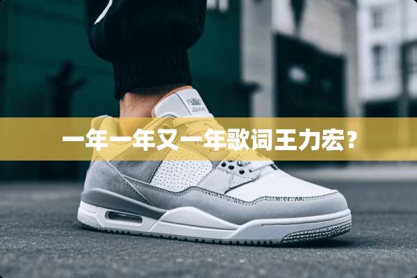 一年一年又一年歌词王力宏？
