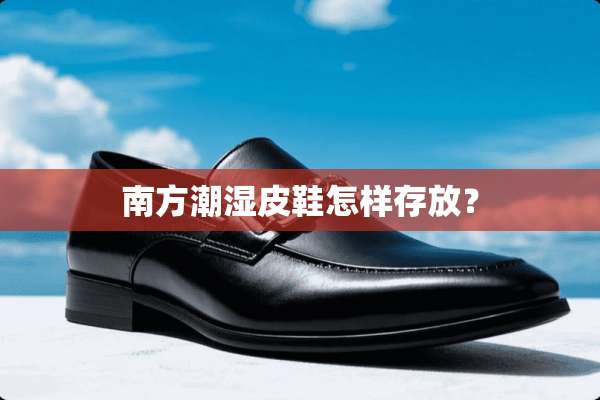南方潮湿皮鞋怎样存放？