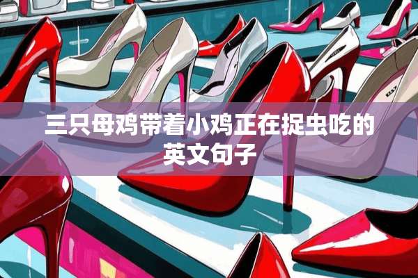 三只母鸡带着小鸡正在捉虫吃的英文句子