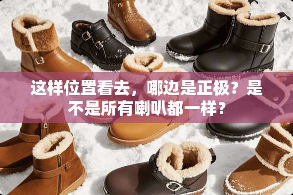 这样位置看去，哪边是正极？是不是所有喇叭都一样？