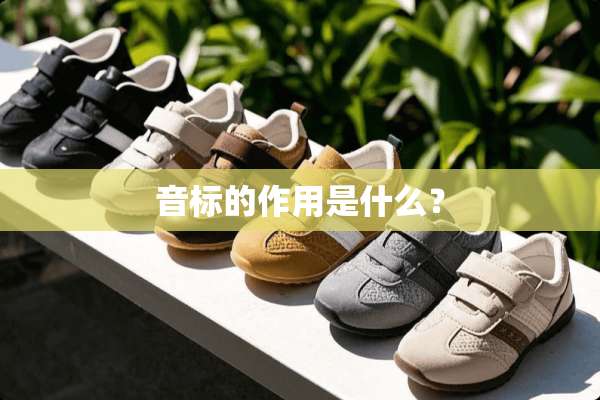 音标的作用是什么？