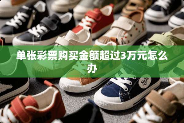单张**购买金额超过3万元怎么办