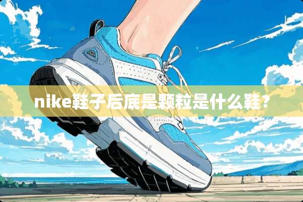 nike鞋子后底是颗粒是什么鞋？