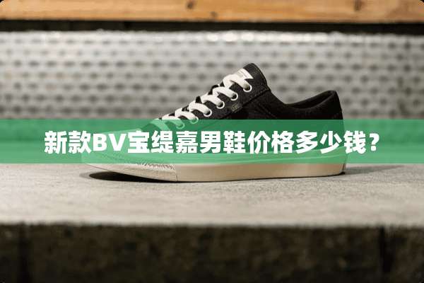 新款BV宝缇嘉男鞋价格多少钱？